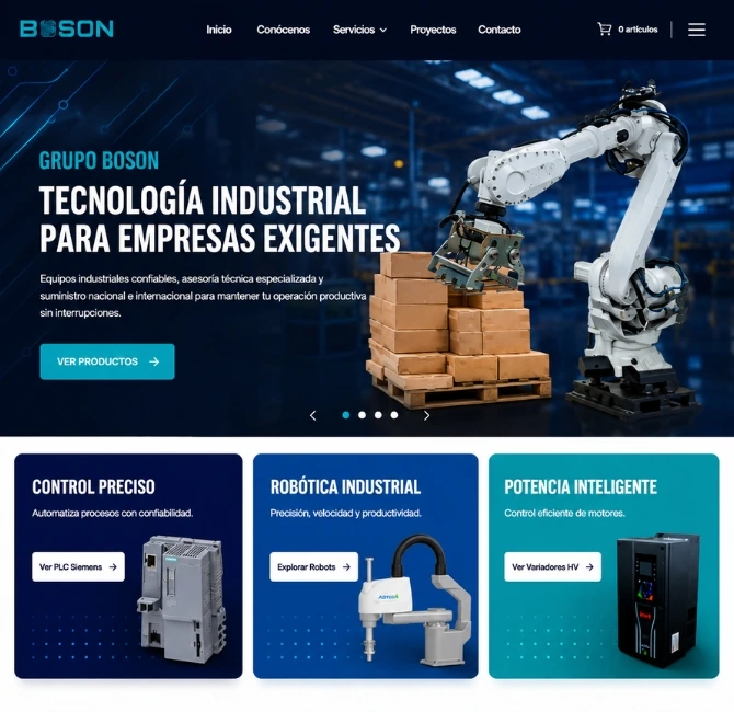 diseño paginas web leon guanajuato