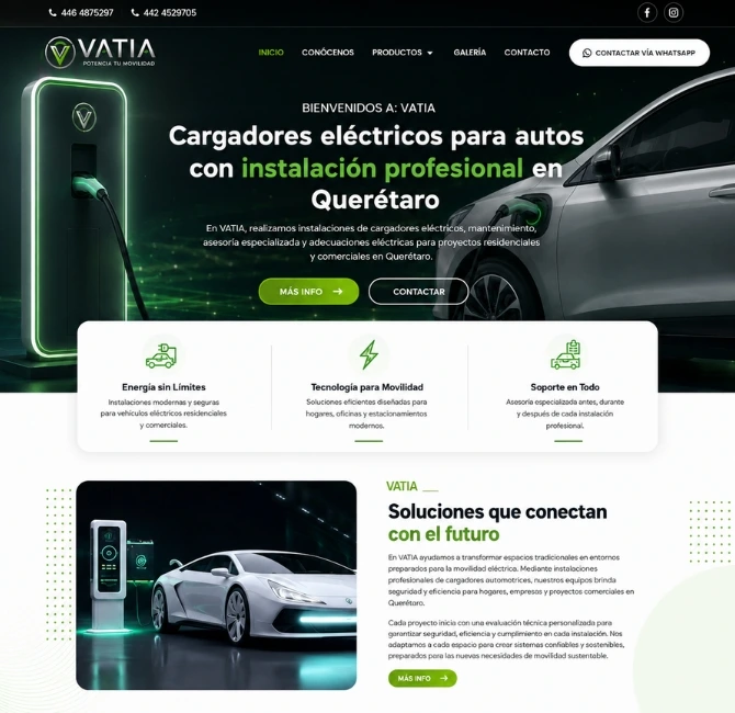 diseño web leon guanajuato