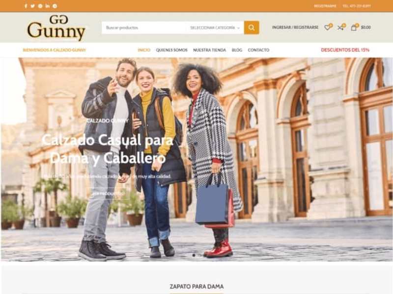 diseños web leon guanajuato